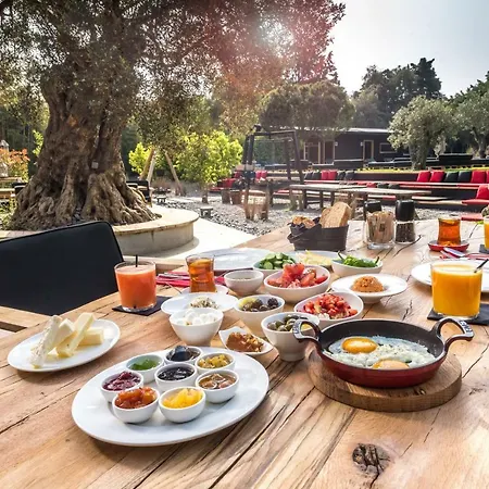 Warehouse By The (adults Only) Alaçatı