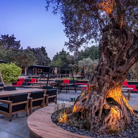 Warehouse By The (adults Only) 2* Alacati